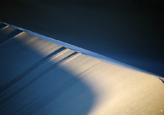 Dune